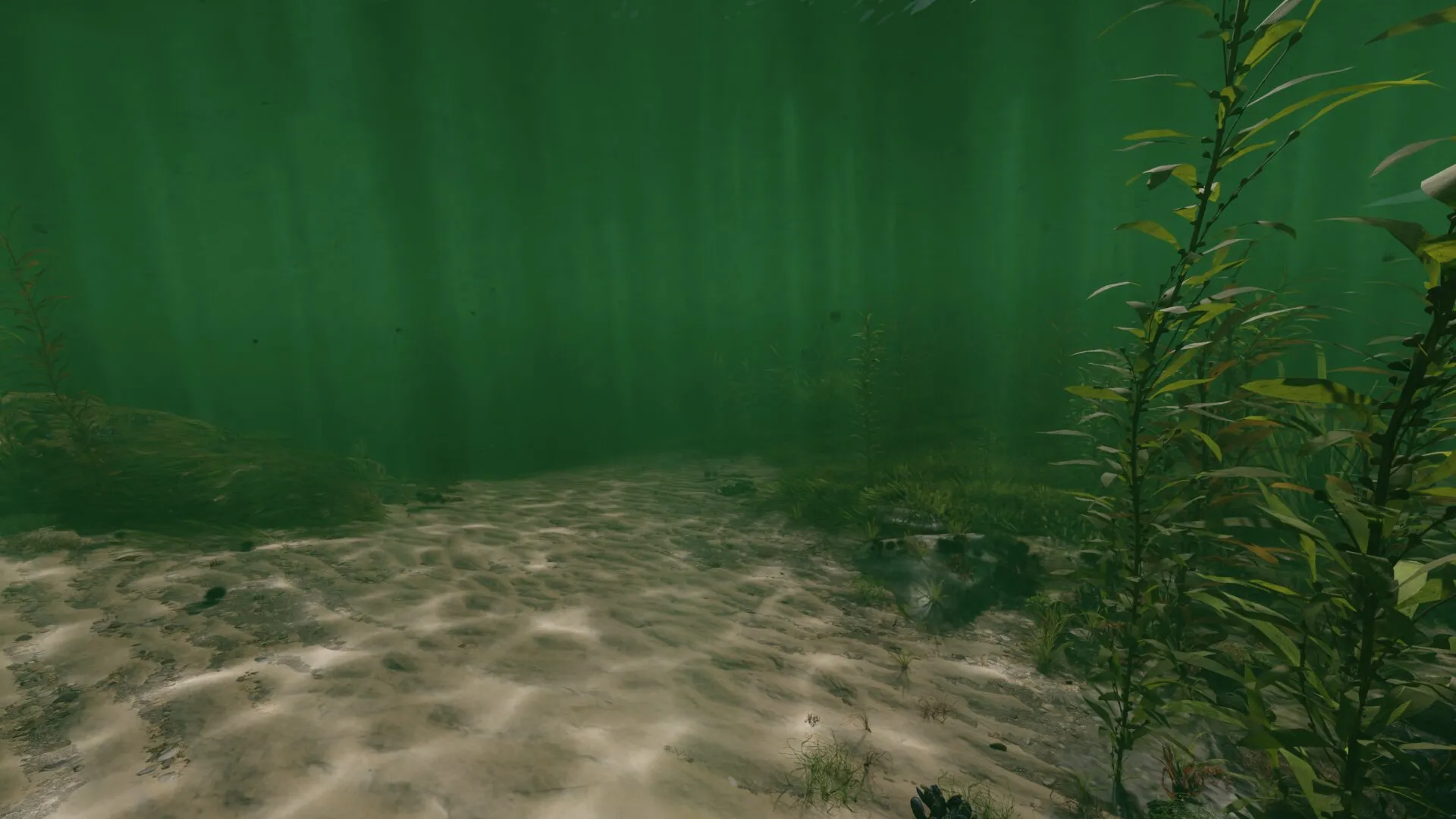Sandiger Meeresboden mit Seegras in grünem Wasser, Lichtstrahlen fallen von oben ein