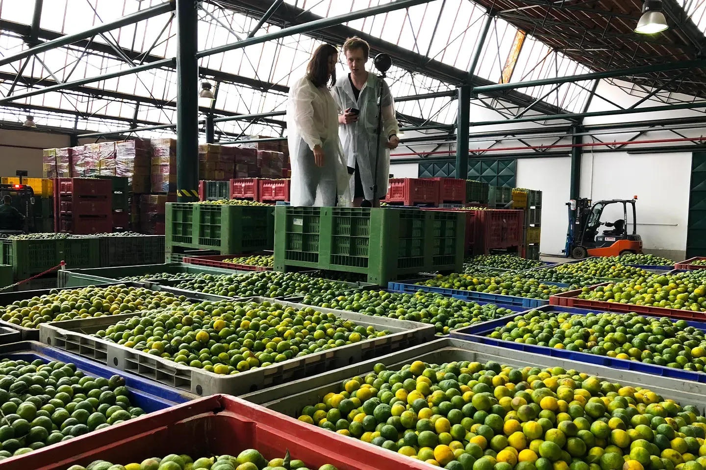 Two people in protective coats with a 360° camera above large crates full of citrus fruit in a warehouse