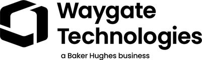 Waygate Technologies